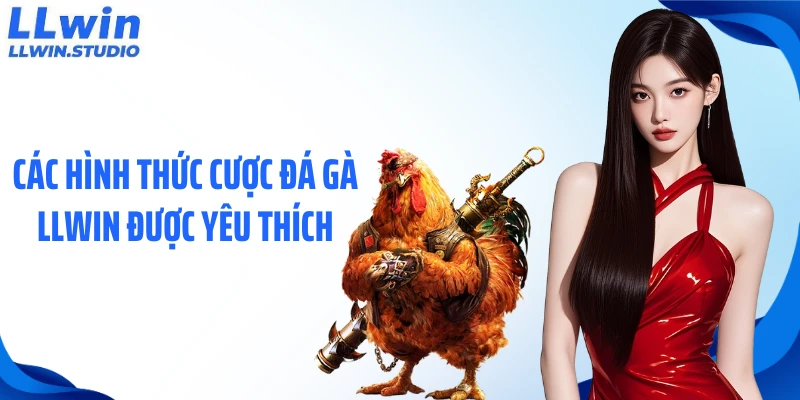 Các hình thức cược đá gà LLWIN được yêu thích