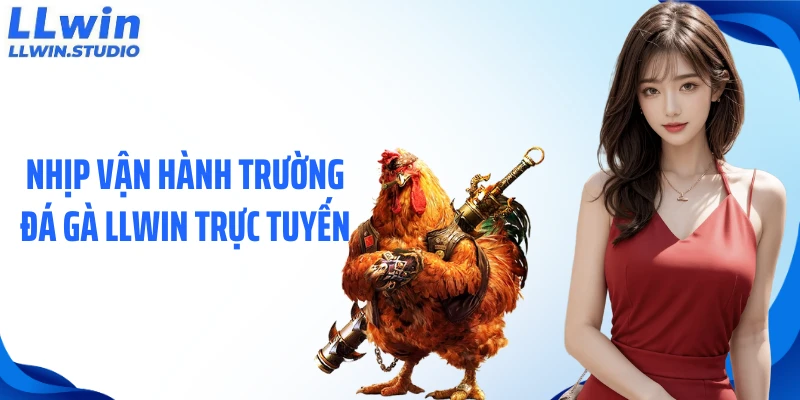 Nhịp vận hành trường đá gà LLWIN trực tuyến