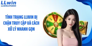 llwin-bi-chan-truy-cap-thumb